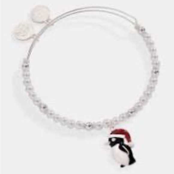 Alex and Ani penguin charm bracelet - Picture 5 of 6